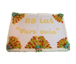 Tort Firmowy VarsoVia